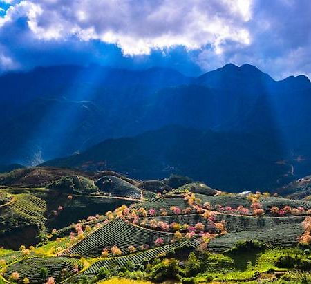 Sapa Dao Homestay Exteriér fotografie