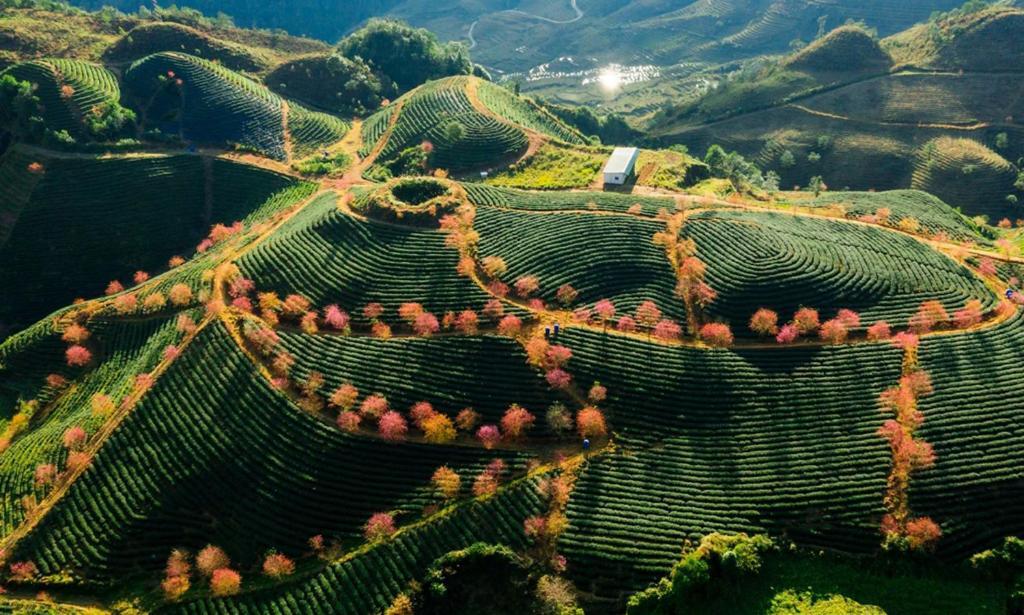 Sapa Dao Homestay Exteriér fotografie
