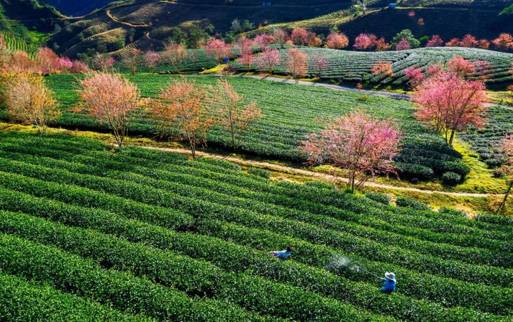 Sapa Dao Homestay Exteriér fotografie