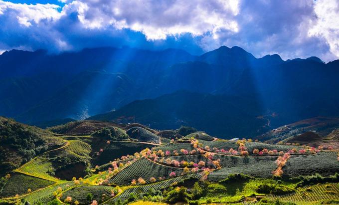 Sapa Dao Homestay Exteriér fotografie