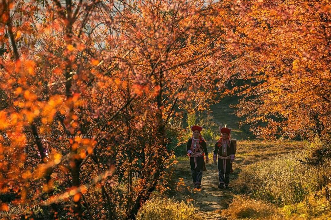 Sapa Dao Homestay Exteriér fotografie
