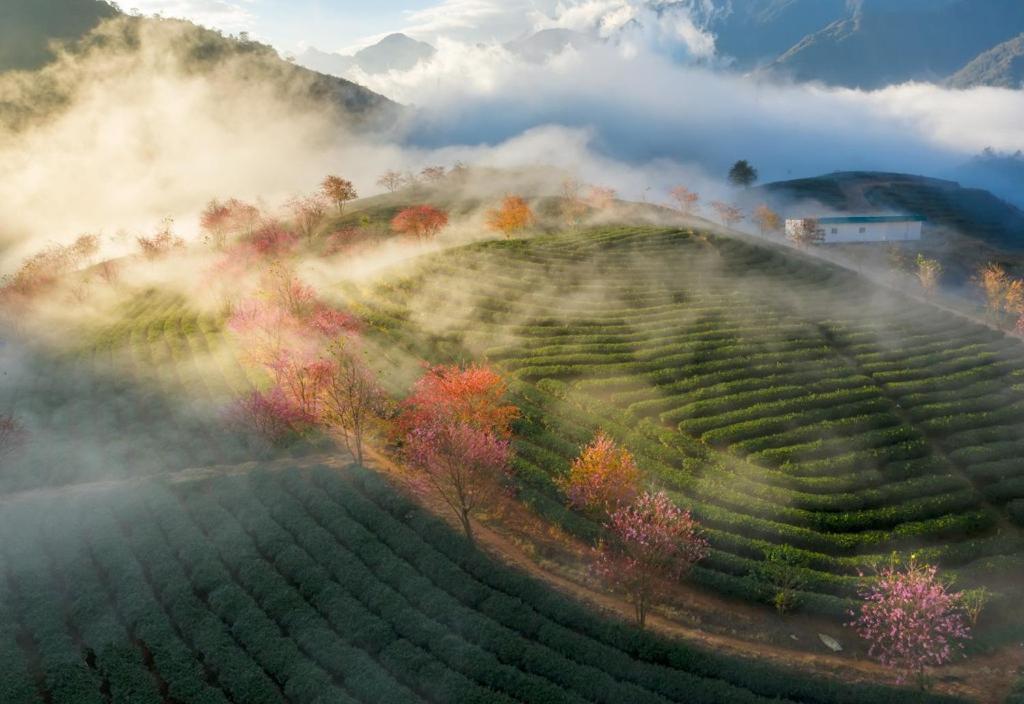Sapa Dao Homestay Exteriér fotografie