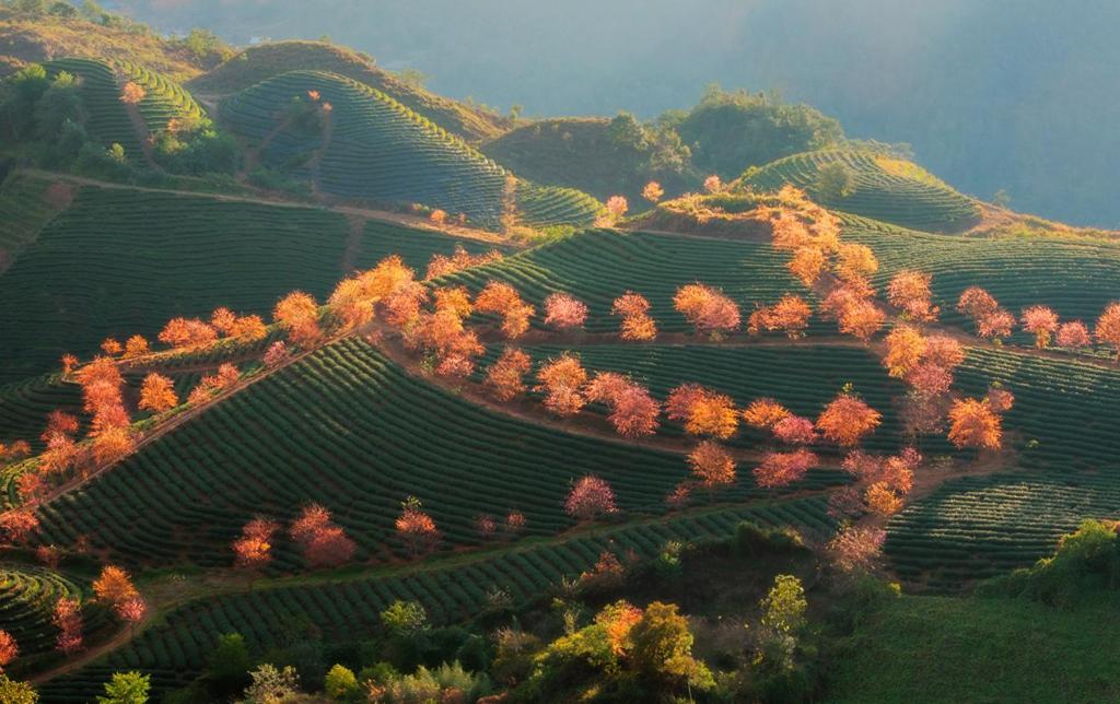 Sapa Dao Homestay Exteriér fotografie