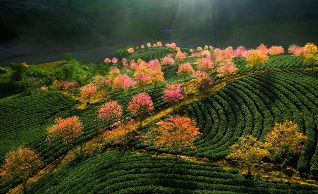 Sapa Dao Homestay Exteriér fotografie