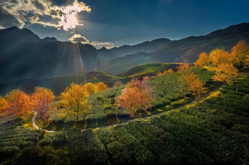 Sapa Dao Homestay Exteriér fotografie