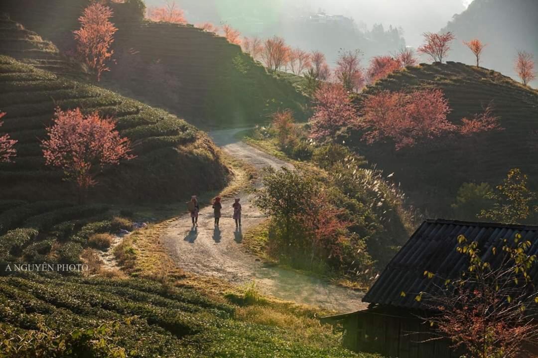 Sapa Dao Homestay Exteriér fotografie